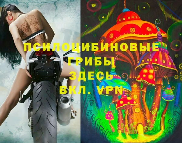 дживик Нея