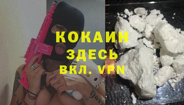 дживик Нея