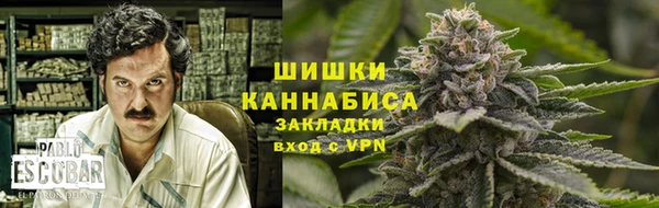 прущие грибы Нефтекумск