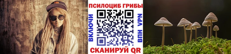 Псилоцибиновые грибы GOLDEN TEACHER Купить где Мегион